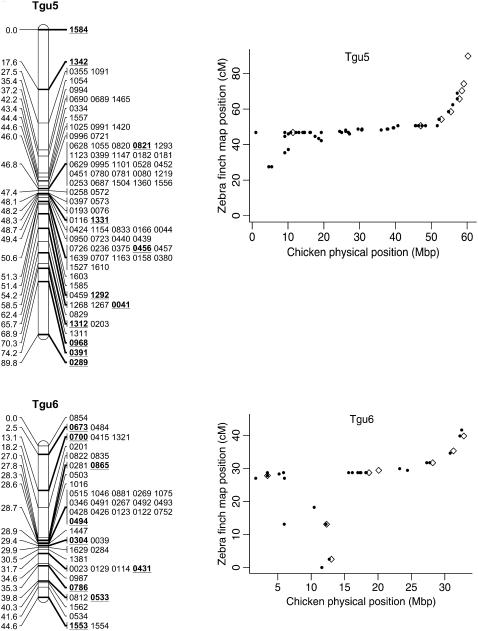 Figure 2.—