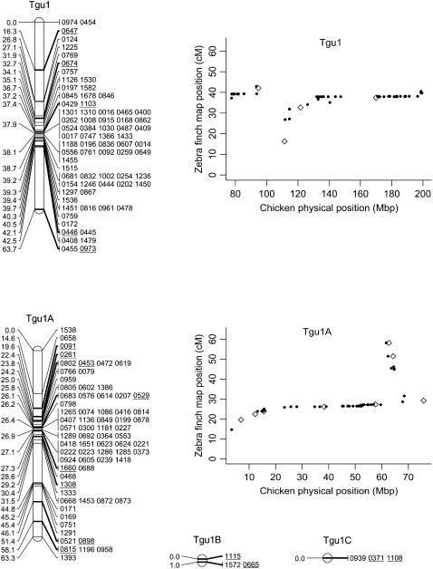 Figure 2.—