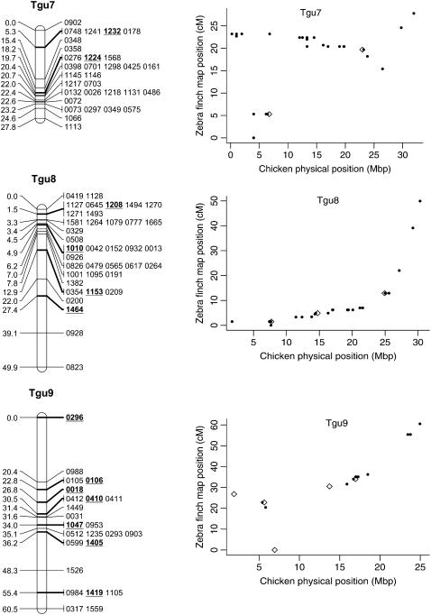 Figure 2.—