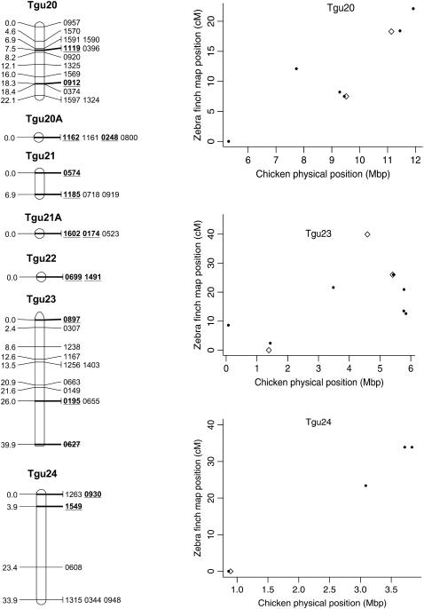 Figure 2.—