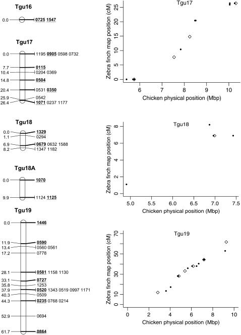 Figure 2.—