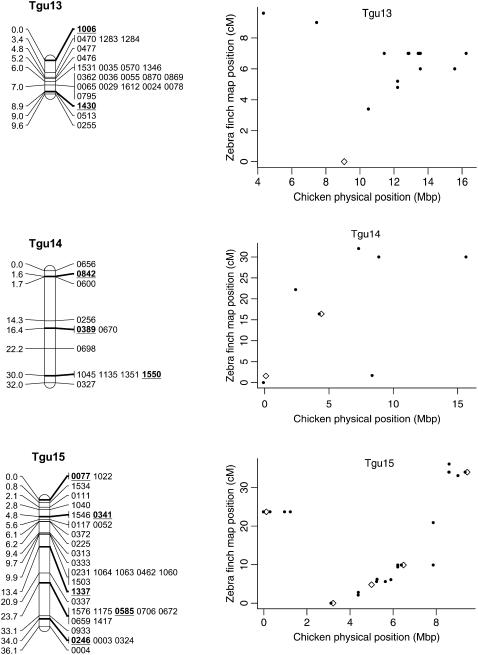 Figure 2.—