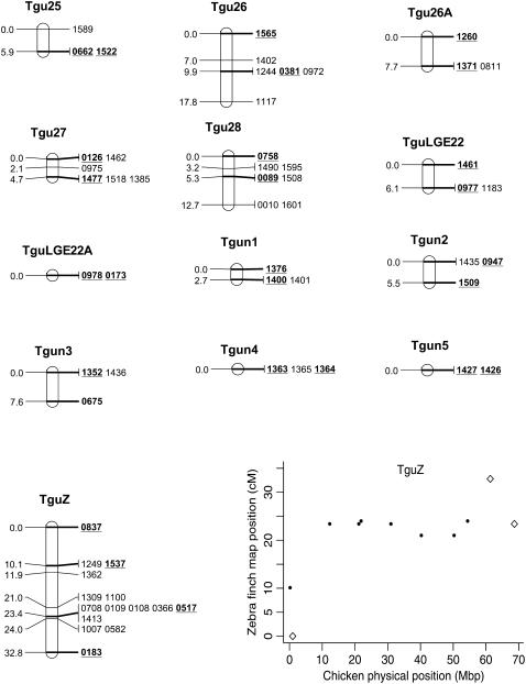 Figure 2.—