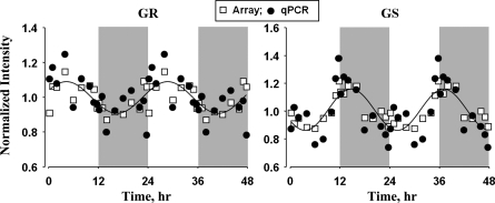 Fig. 8.