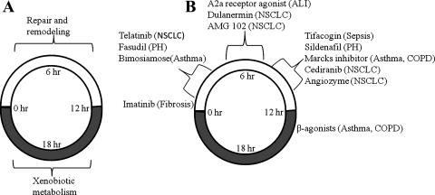 Fig. 9.