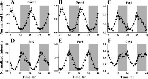 Fig. 2.