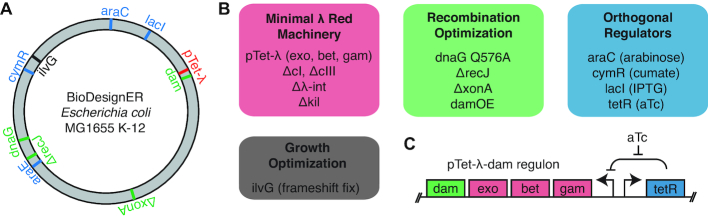 Figure 1.