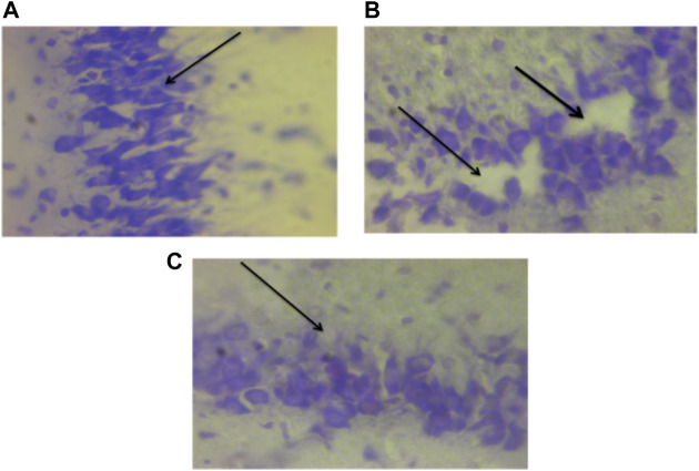 FIGURE 17