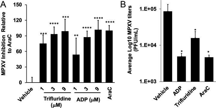 Fig. 5.