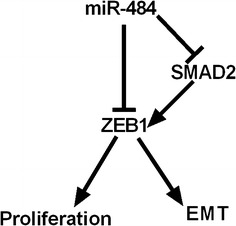 Fig. 10