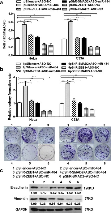 Fig. 8