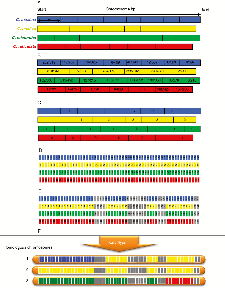 Fig. 2.