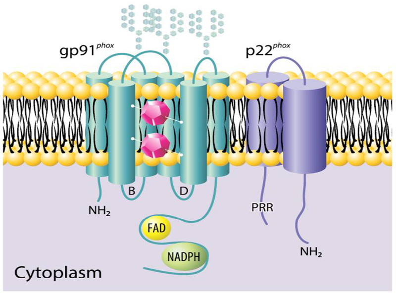 Figure 1.