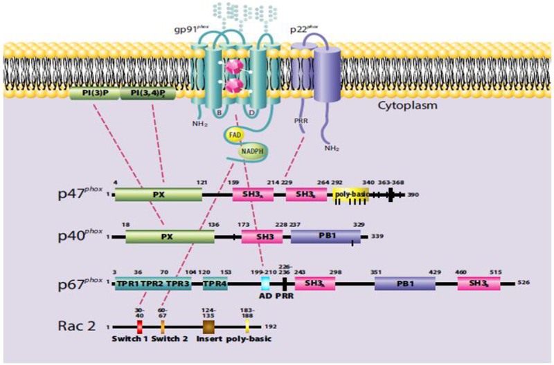 Figure 2.