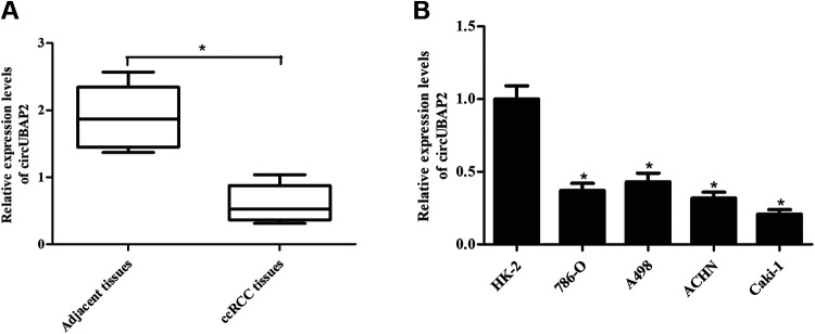 Fig. 1.