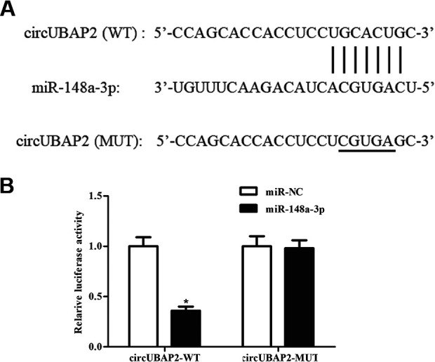 Fig. 4.