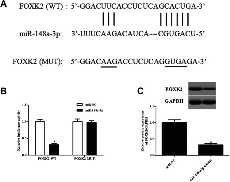 Fig. 7.