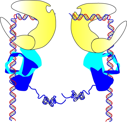 FIG. 5.