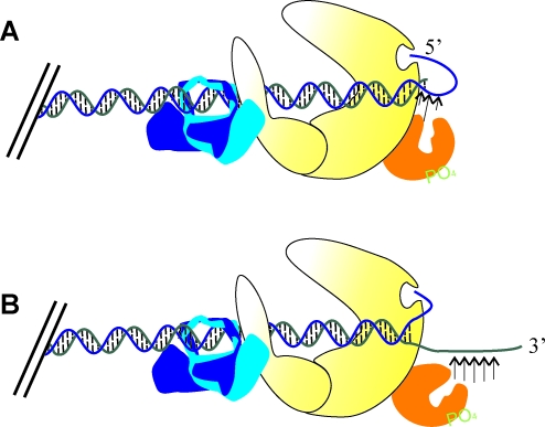 FIG. 7.