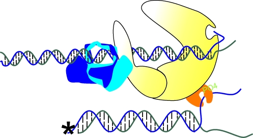 FIG. 6.