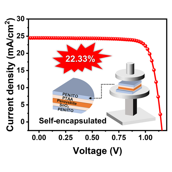 graphic file with name fx1.jpg