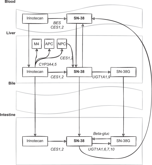 Fig. 1