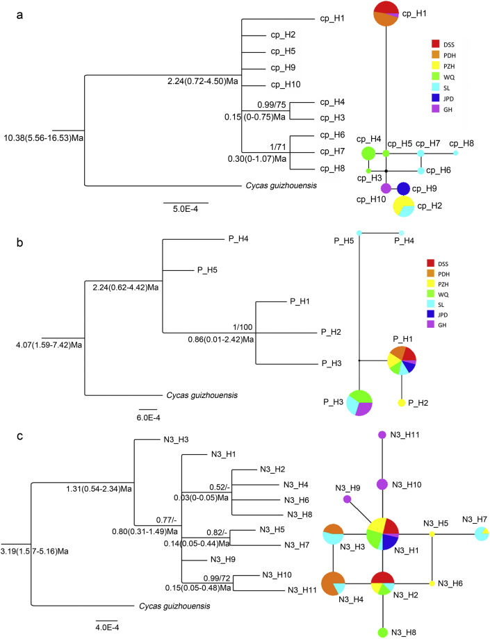 Fig. 3