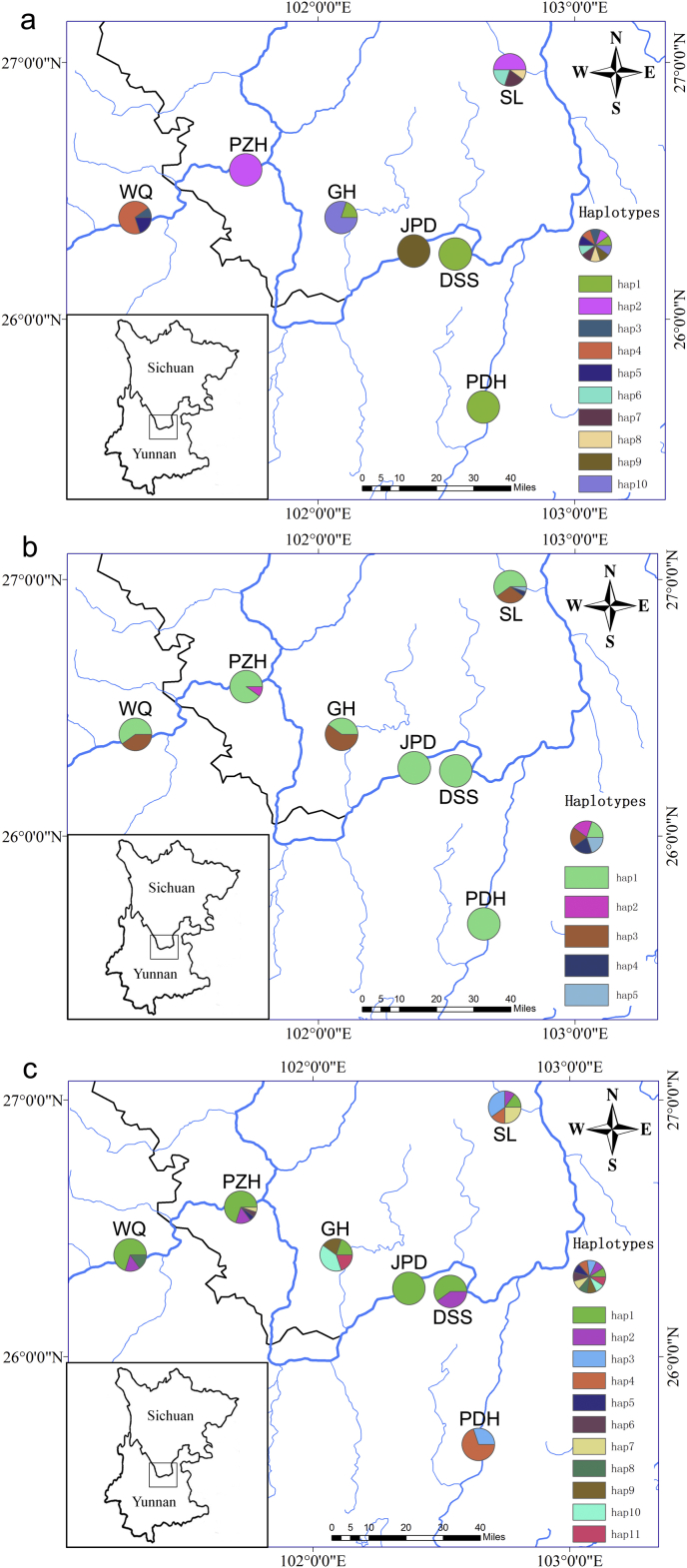 Fig. 1