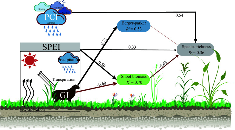 Figure 5