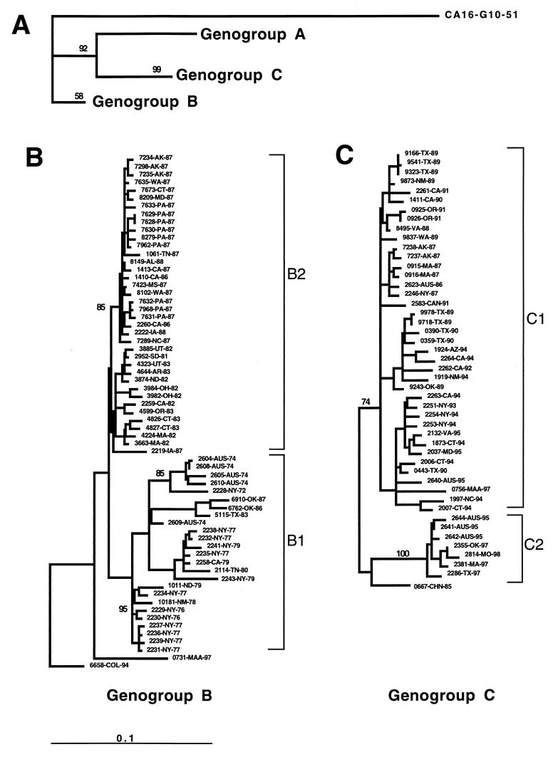 FIG. 1