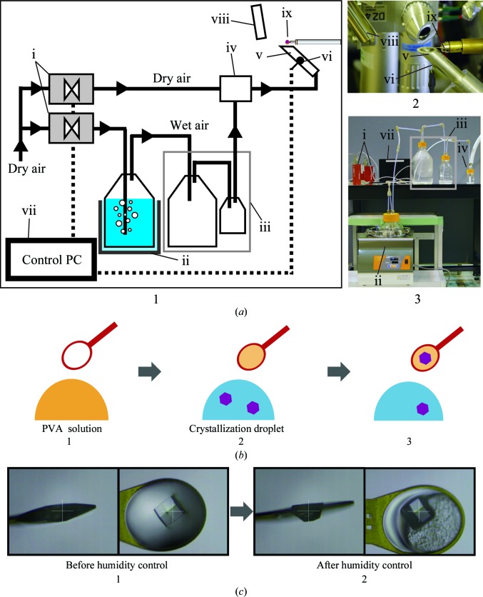 Figure 2