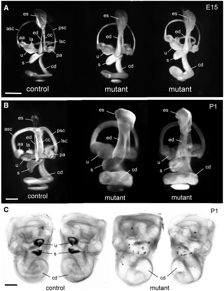 Figure 3.