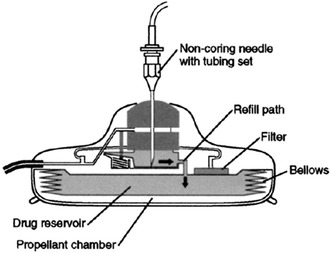 Fig. 5