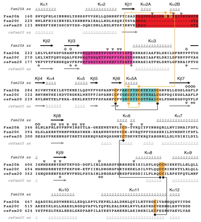 Figure 1—figure supplement 1.