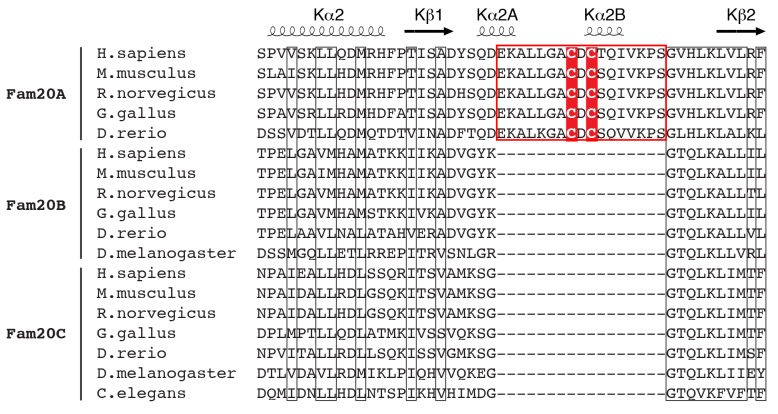 Figure 1—figure supplement 2.