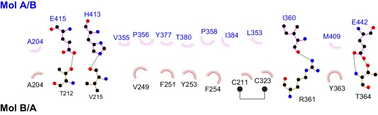 Figure 4—figure supplement 1.