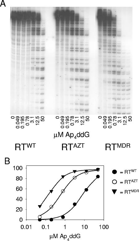 FIG. 6.