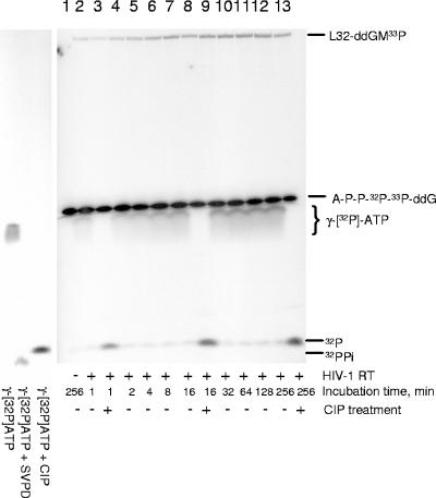 FIG. 5.