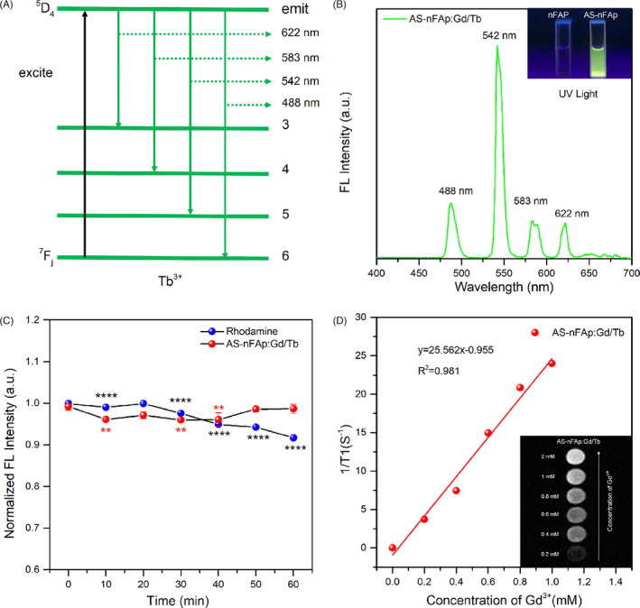 FIGURE 3