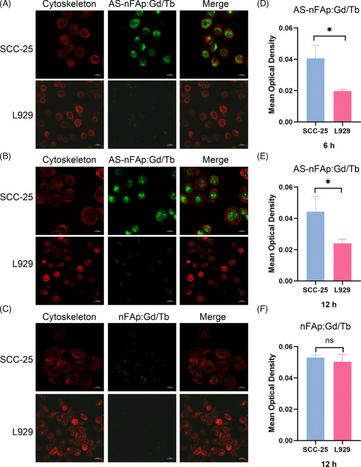 FIGURE 4