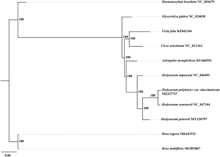 Figure 1.