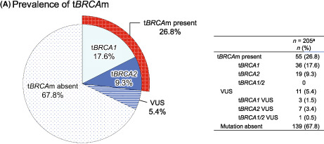 graphic file with name CAS-114-271-g003.jpg