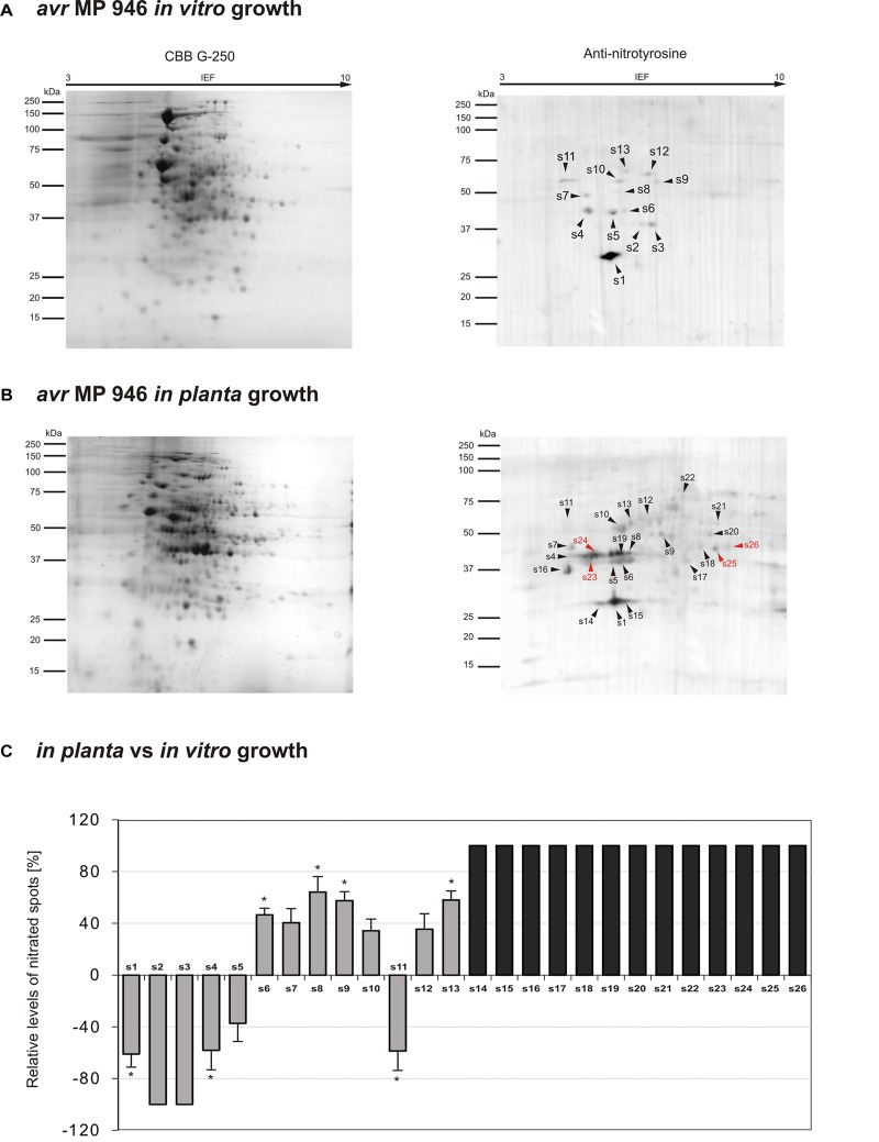 FIGURE 3