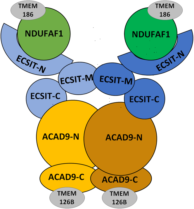 Figure 5