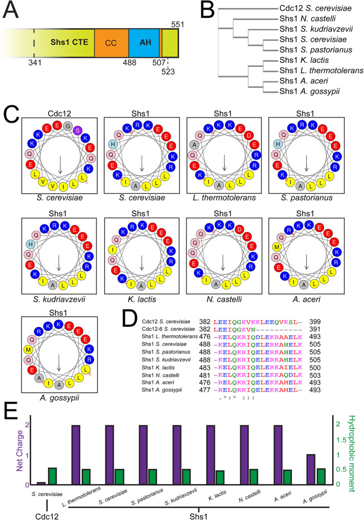 FIGURE 1: