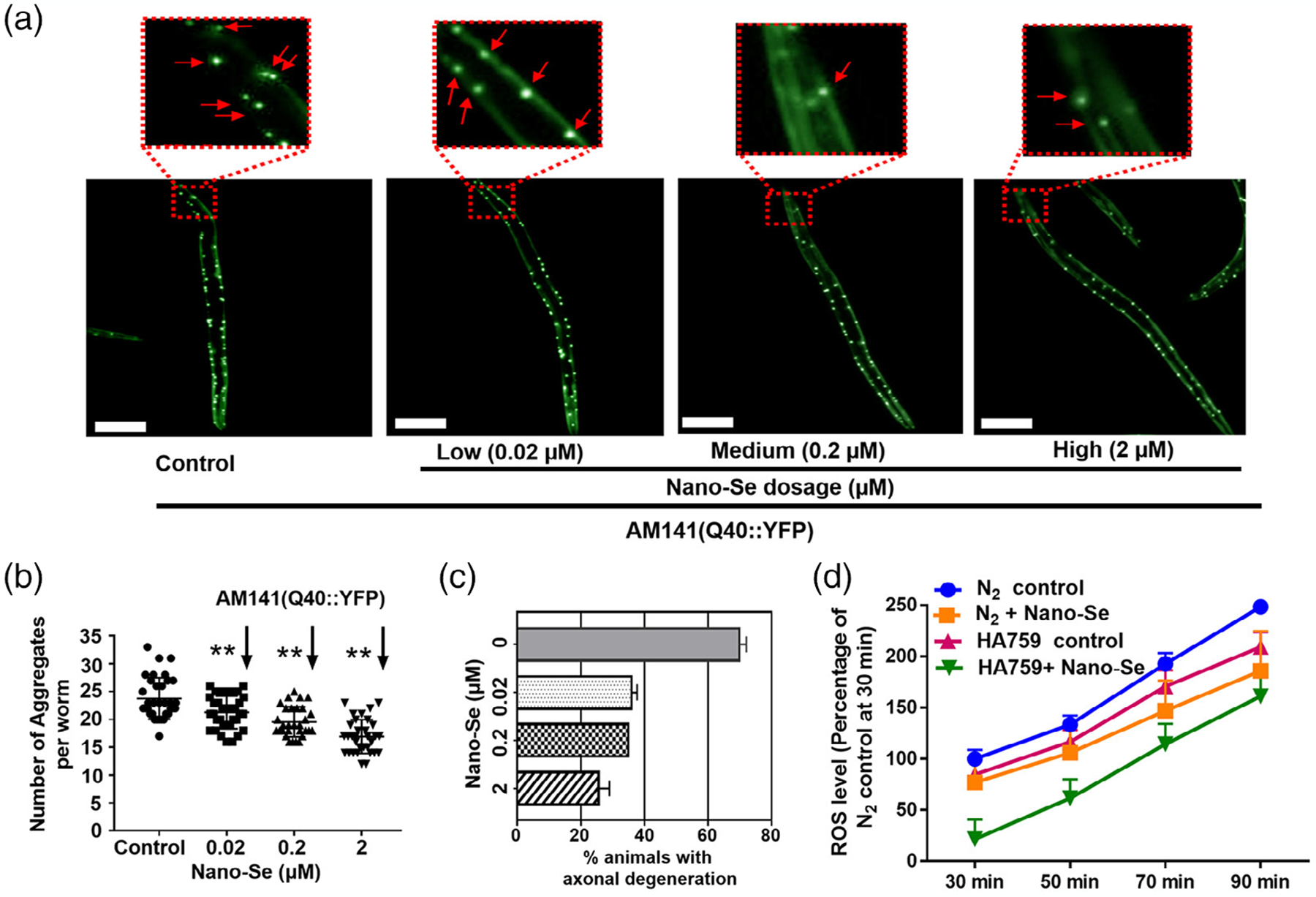 FIGURE 4