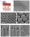 Figure 5: