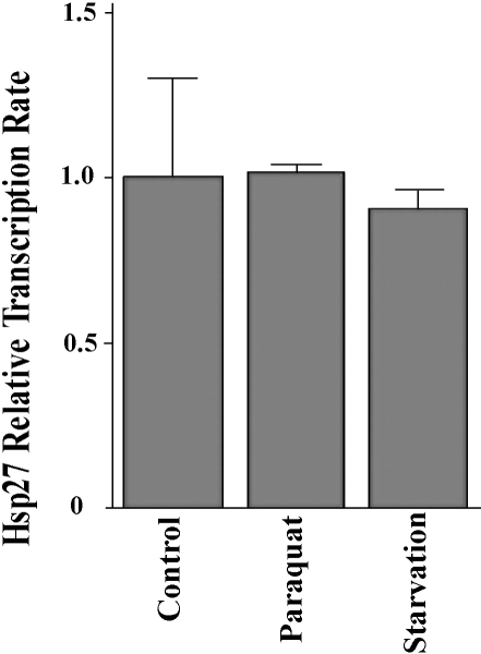 Fig 8.