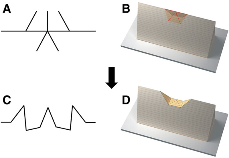 Fig. 4.