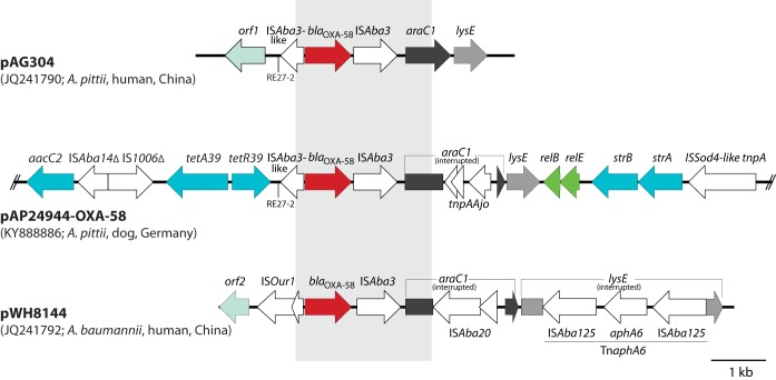 FIG 2